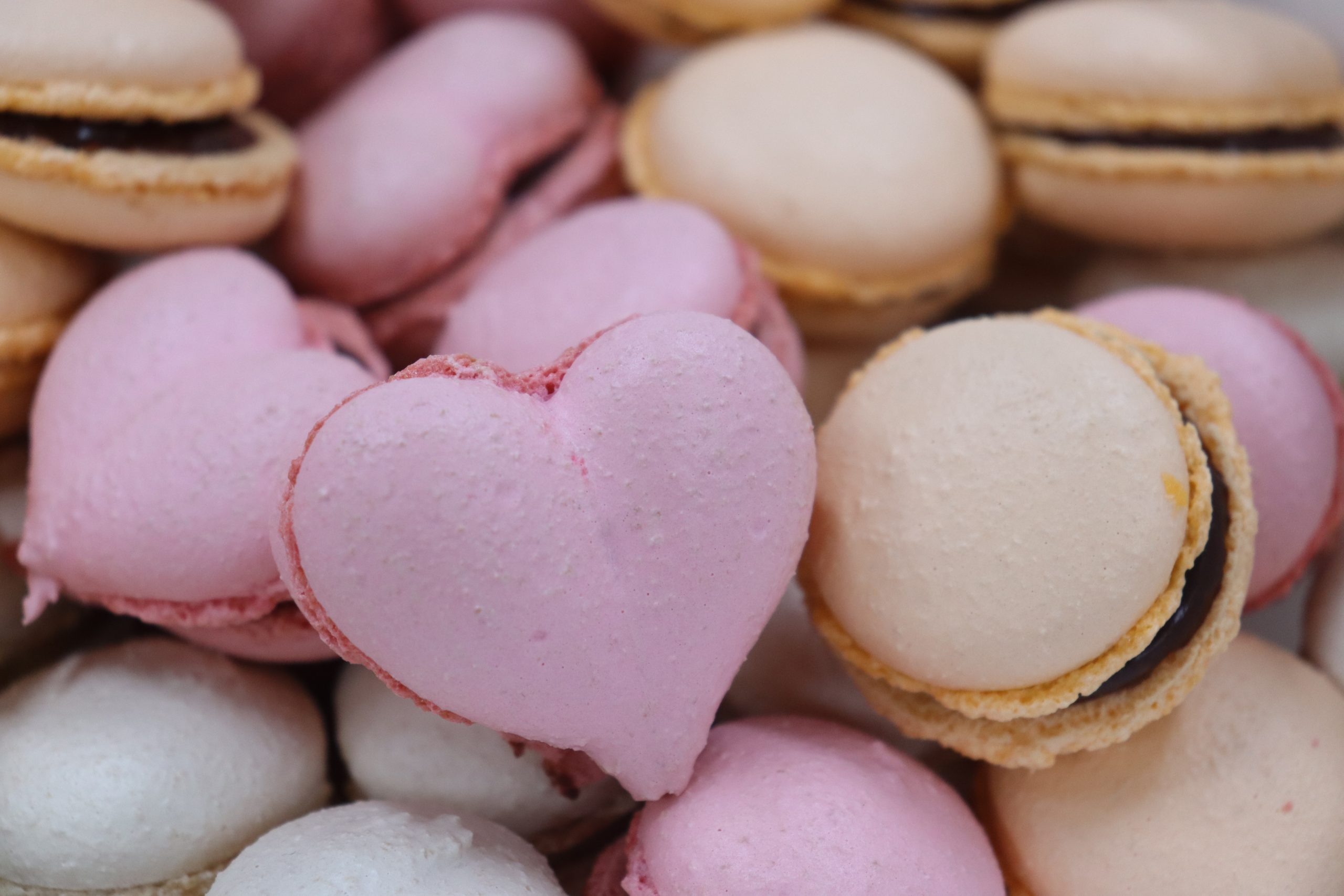 <br /><b>Warning</b>: Illegal string offset 'label' in <b>/home/kawaharagakuen/www/ht_docs/web/minato/wp-content/themes/hospitality.kawahara.ac.jp/single-oc.php</b> on line <b>96</b><br /> おいしいマカロンの作り方♥