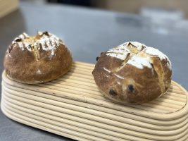 イメージ：松山東高校へ出張授業に行ってきました！